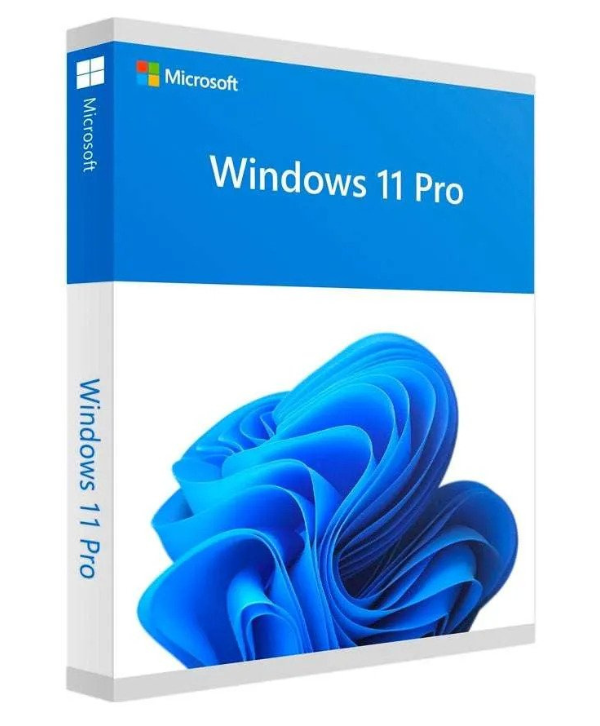 Windows 11 Professional