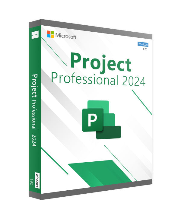 Project Professional 2024